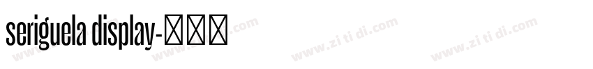 seriguela display字体转换